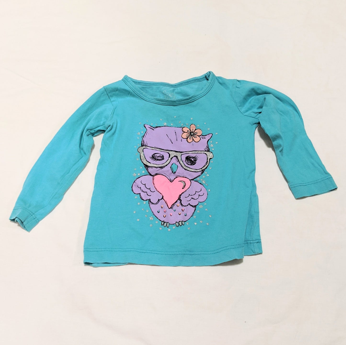 Teal and purple owl long sleeved T-shirt - size 1